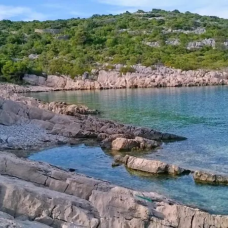 Family Friendly House With A Swimming Pool Cove Triluke, Pasman - 13577 * Tkon
